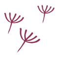 fliegende Samen - Praxis für Ernährungstherapie, Ernährungsberatung und Coaching - Susanne Reinert-Müller
